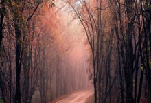 欧国联-荷兰vs西班牙首发：亚马尔、佩德里先发，莫拉塔出战.