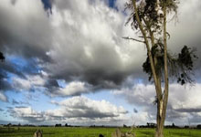 张之臻0-2不敌卢布列夫 止步ATP500鹿特丹站首轮.