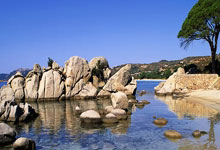 [CBA]常规赛12月20日：辽宁VS北京 集锦.